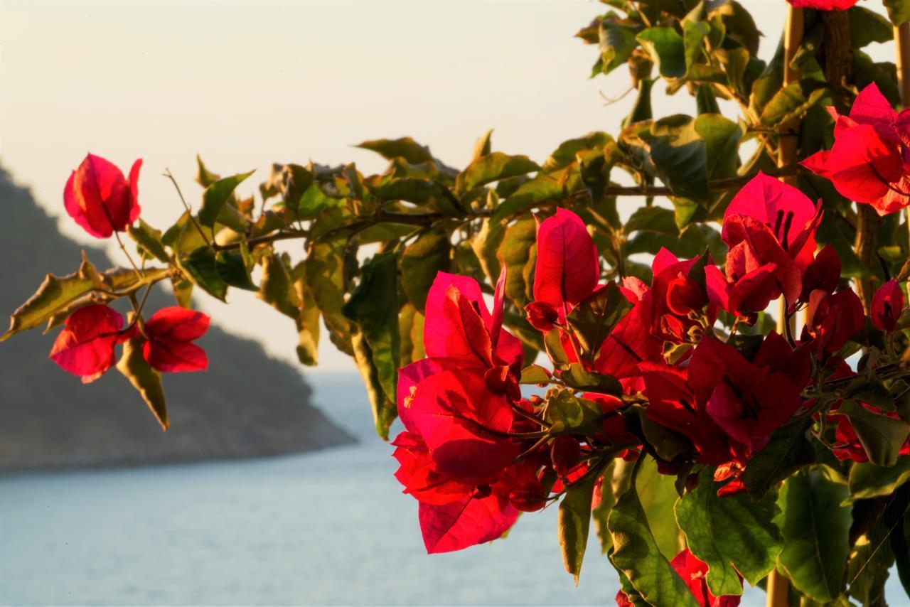 Agorastos Hotel Κοίνυρα Εξωτερικό φωτογραφία