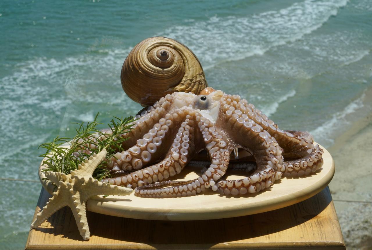 Agorastos Hotel Κοίνυρα Εξωτερικό φωτογραφία