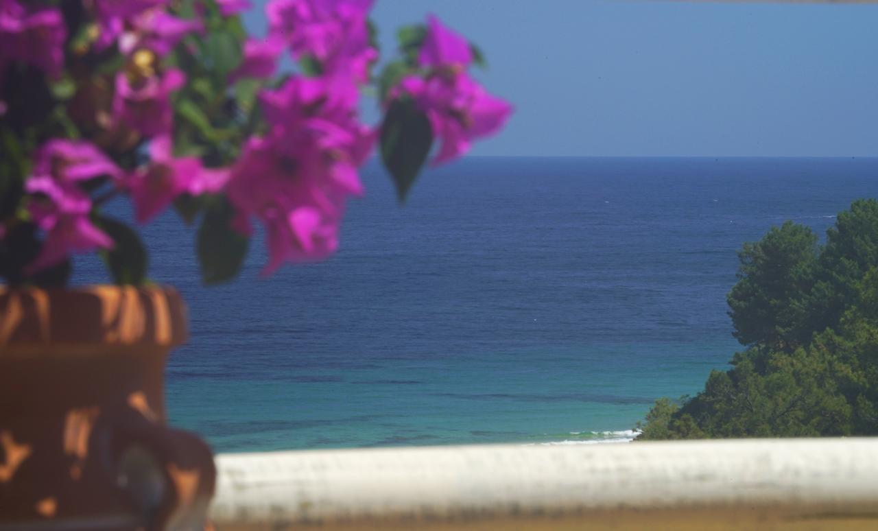 Agorastos Hotel Κοίνυρα Εξωτερικό φωτογραφία